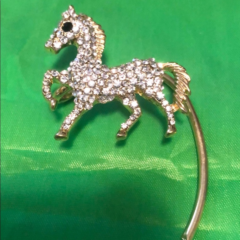 Used earring ( piece)